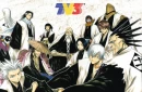 bleach