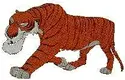 tiger