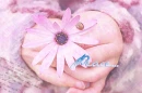 Peace Flower