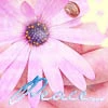 Peace Flower Avatar