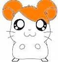 hamtaro