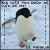 lil penguin