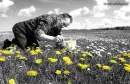 Man painting flowers