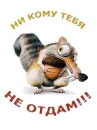 belka