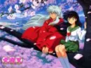 Inuyasha & kagome