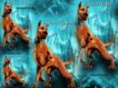 scooby