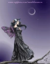 Night Wish