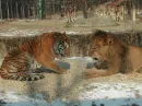 two friends