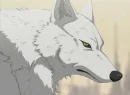 Kiba