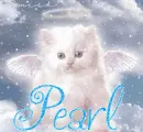 pearl angel kitty