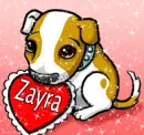 zayra puppy