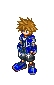 kingdom hearts