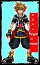 Sora