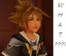 Sora
