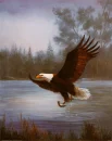 eagle