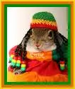 jamaican rabbit