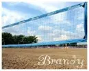 Volleyball - Brandy