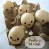 eggs