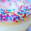 donut