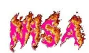 Nisa2