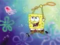 Sponge Bob Square Pants