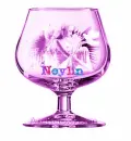 Neylin