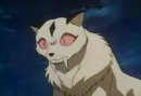 Kirara