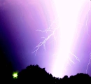 Nature at it's Best and Worst