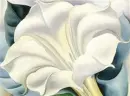 1932 White Trumpet