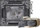 Glitter Kitten for Cassy Cat