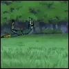 Rock lee drunk number 6