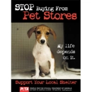adopt animals