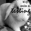stop animal testing