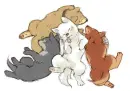 Baby wolf's rain