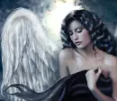 fairy 
