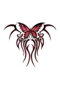 beautiful butterfly