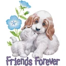 friends