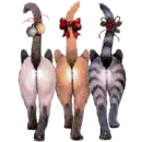 catbutts1