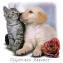 cute1