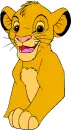 simba6406