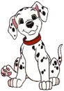 puppy1