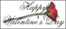 happy vday!