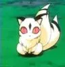 kirara