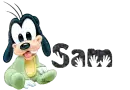 Baby Goofy for Sam