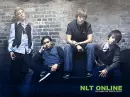 NLT