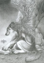 winged wolf