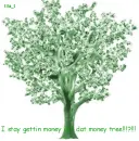 money tree