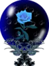 blue rose 2