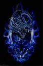 blue dragon