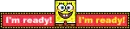 SPONGEY!
